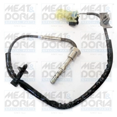 Sensor, exhaust gas temperature